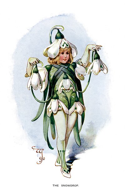 Snödroppen, 1899 av Unbekannt
