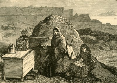 The State of Ireland: An Evicted Family Near Errismore, c1880. av Unbekannt