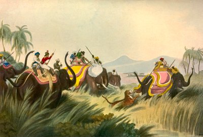 Tigerjakten, c1808, 1901. av Unbekannt