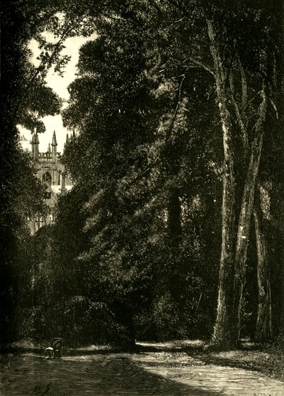 The Tower of Merton, från trädgården, 1898. av Unbekannt
