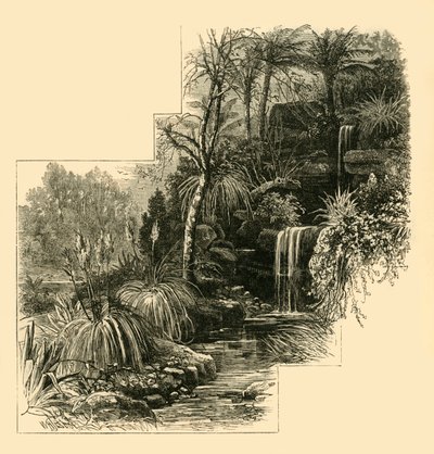 The Tropical Gardens, Battersea Park, c1878. av Unbekannt