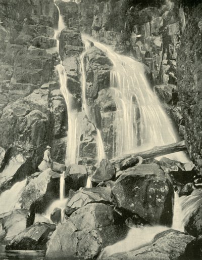 Wellington Falls, Mount Wellington, 1901. av Unbekannt