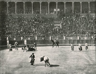 Interiören av tjurfäktningsarenan, Madrid, Spanien, 1895. av Unbekannt