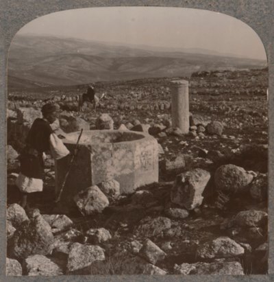 Ruinerna av Tekoa, c1900 av Unbekannt