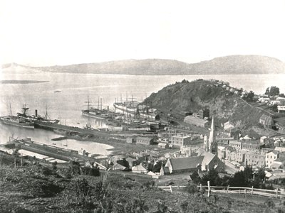 Staden och hamnen, Port Chalmers, Nya Zeeland, 1895. av Unbekannt