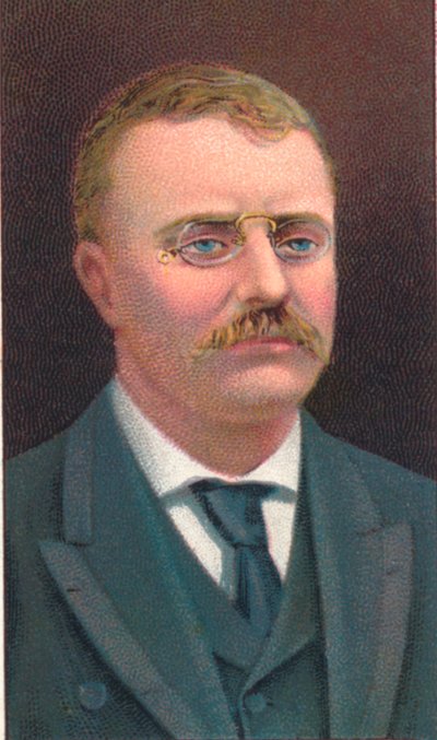 Theodore Roosevelt 1858-1919, USA:s 26:e president, 1906 av Unbekannt
