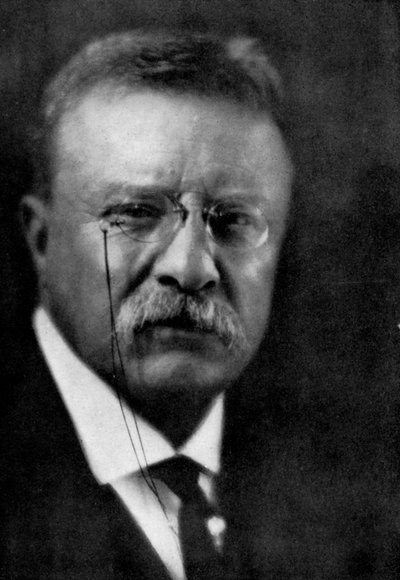 Theodore Roosevelt, USA:s 26:e president, 1933 av Unbekannt