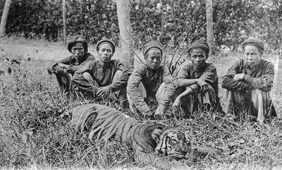Tigerjägare, Tonkin, Vietnam, 1900-talet av Unbekannt