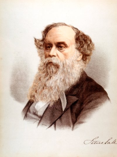Titus Salt, brittisk ullhäftare och industriman, c1880 av Unbekannt