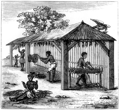 Tobaksberedning, 1873 av Unbekannt