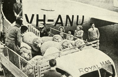 Transport av prisbaggar med flyg, c1948. av Unbekannt