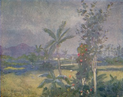 Tropiska regn i Västindien, 1924 av Unbekannt