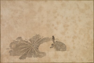 Sköldpadda i en Lotusdamm, 1700-talet. av Unbekannt