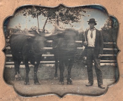 Två oxar och förare, 1850-tal. av Unbekannt