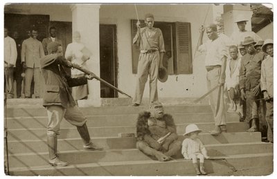 En tämjd gorilla, ca 1910 (s/v foto) av Unbekannt