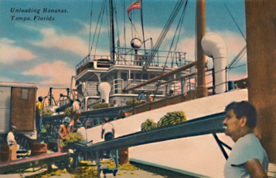 Lossar bananer, Tampa, Florida, c1940-talet av Unbekannt