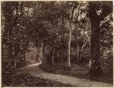 Utan titel Landskap, tidigt 1860-tal. av Unbekannt