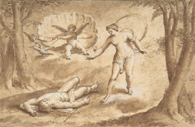 Venus upptäcker Adonis död, 1600-talet. av Unbekannt