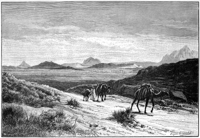 Utsikt från Tellat-passet, Tunisien, c1890 av Unbekannt