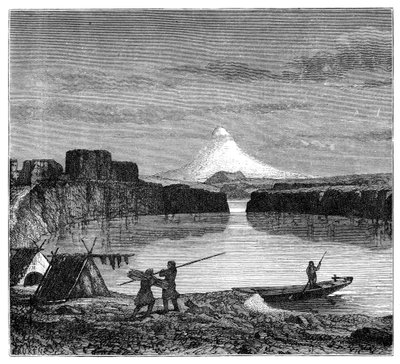 Utsikt i Oregon, 1900 av Unbekannt