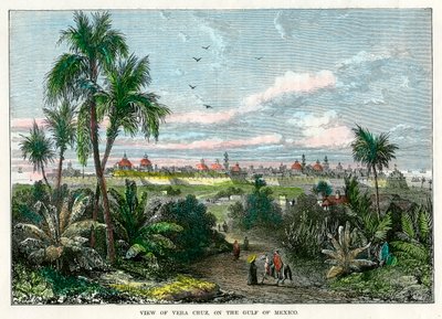 Utsikt över Vera Cruz, vid Mexikanska golfen, Mexiko, c1880 av Unbekannt