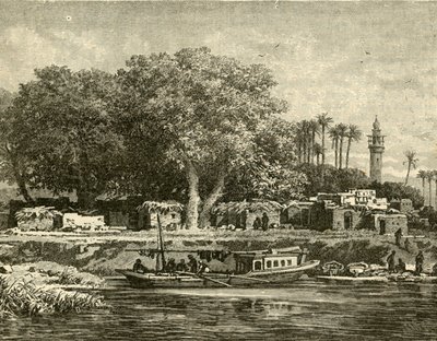 Utsikt över Nilens delta, 1890. av Unbekannt