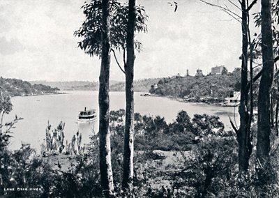 Utsikt över floden Lane Cove, c1900. av Unbekannt