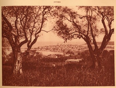 Utsikt genom olivträden till Antibes, 1930. av Unbekannt