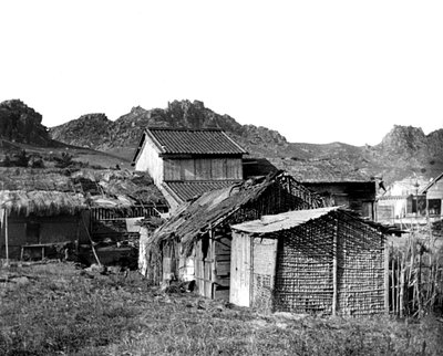 Bykojor i Korea, 1900 av Unbekannt