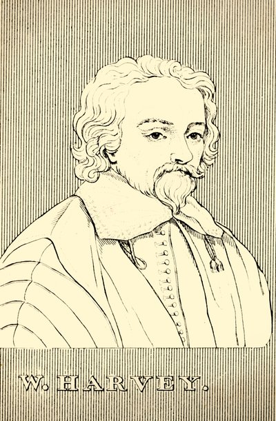 W. Harvey, 1578-1657, 1830. av Unbekannt