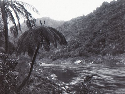 Wanganui River, sent 1800-tidigt 1900-tal. av Unbekannt