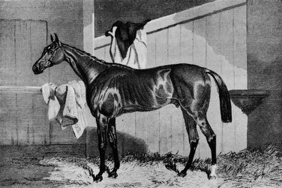 Warlock, 1800-talet, 1911 av Unbekannt