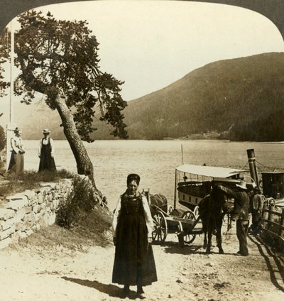 När sjöångaren anlöper Tinoset pir - utsikt över Tinsjo till kullarna, Norge, c1905. av Unbekannt