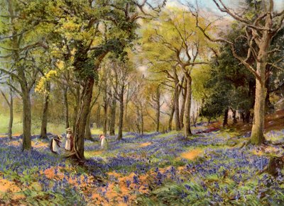 Vilda hyacinter i en Surrey Copse, 1906 av Unbekannt