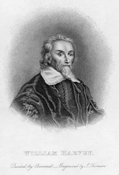 William Harvey 1578-1657 engelsk läkare, c1600-talet av Unbekannt