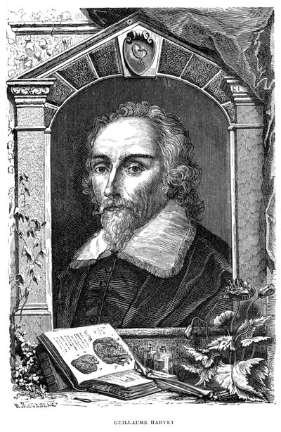 William Harvey 1578-1657 engelsk läkare, c1600-talet av Unbekannt