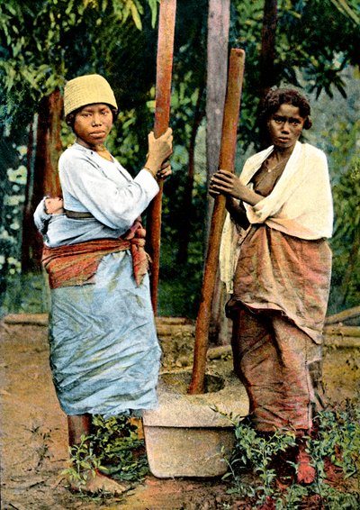 Kvinnor som dunkar ris, Madagaskar, sent 1800-tal av Unbekannt