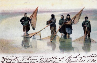 Kvinnliga räkfiskare, Calais, 1905 av Unbekannt