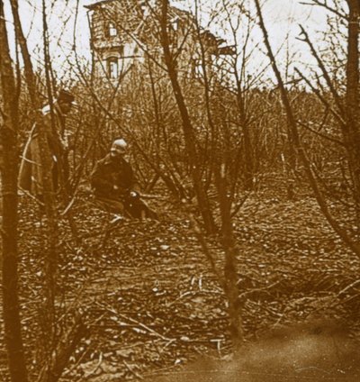 Trä, c1914-c1918 av Unbekannt