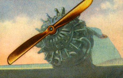 Träflygplanspropeller tillverkad av företaget Schwarz Propeller-Werk, 1932. av Unbekannt