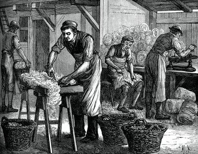 Wool sorters, c1880 av Unbekannt