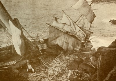 Förlist på ödlan, c1930. av Unbekannt