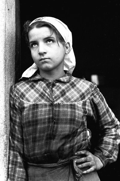 Ung flicka som arbetar som olivplockare i Kalabrien, Italien, ca 1955 (s/v-foto) av Unbekannt