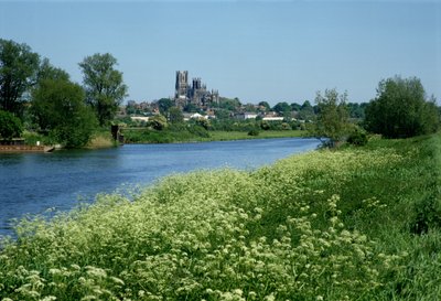 Ely-katedralen och floden Ouse av Unbekannt Unbekannt