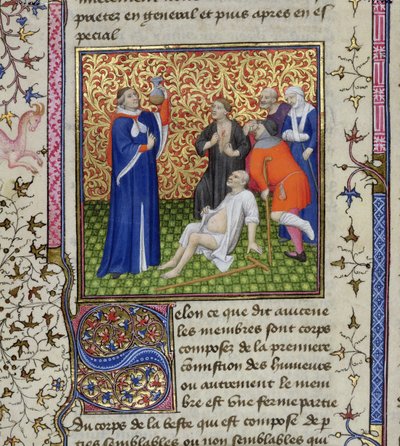Ms.251 f.54v En läkare med sina patienter, från Des Proprietez des Choses, c.1415 av Unbekannt Unbekannt