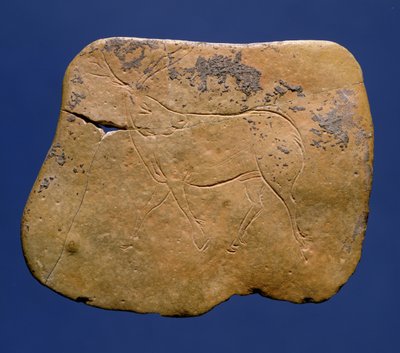 Renar, inskuren teckning på kalksten, paleolitikum, Magdalena V, från Laugerie Basse, Dordogne, c.12000 f.Kr. av Unbekannt Unbekannt