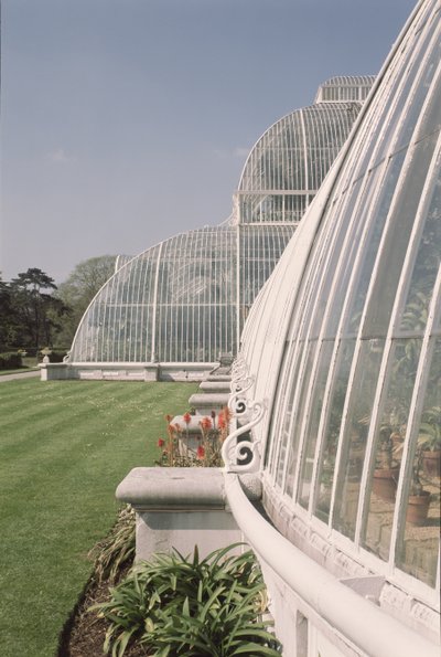 Sektion av Palmhuset, designad av Decimus Burton, 1800-81 av Unbekannt Unbekannt