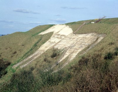 The Westbury White Horse av Unbekannt Unbekannt