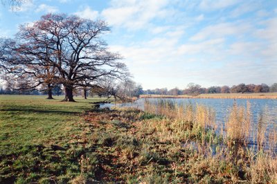 Utsikt över sjön, Corsham Court, Wiltshire av Unbekannt Unbekannt