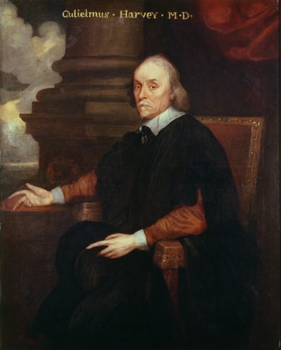 William Harvey (1578-1657) kunglig läkare, 1600-talet av Unbekannt Unbekannt